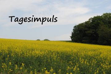 Tagesimpuls